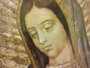 "Anda, haz lo que esté de tu parte"