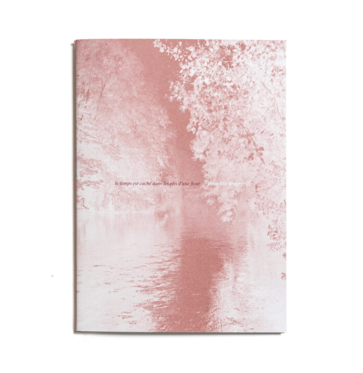 Le temps est caché dans les plis d'une fleur - Anne Lise Broyer