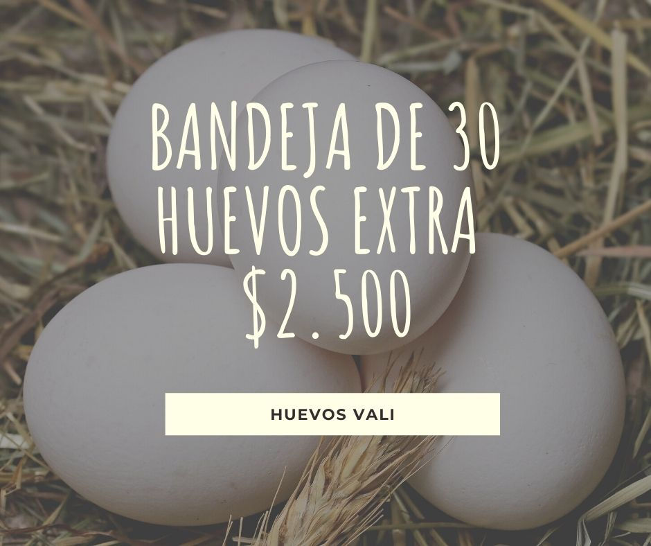 Bandeja de Huevos