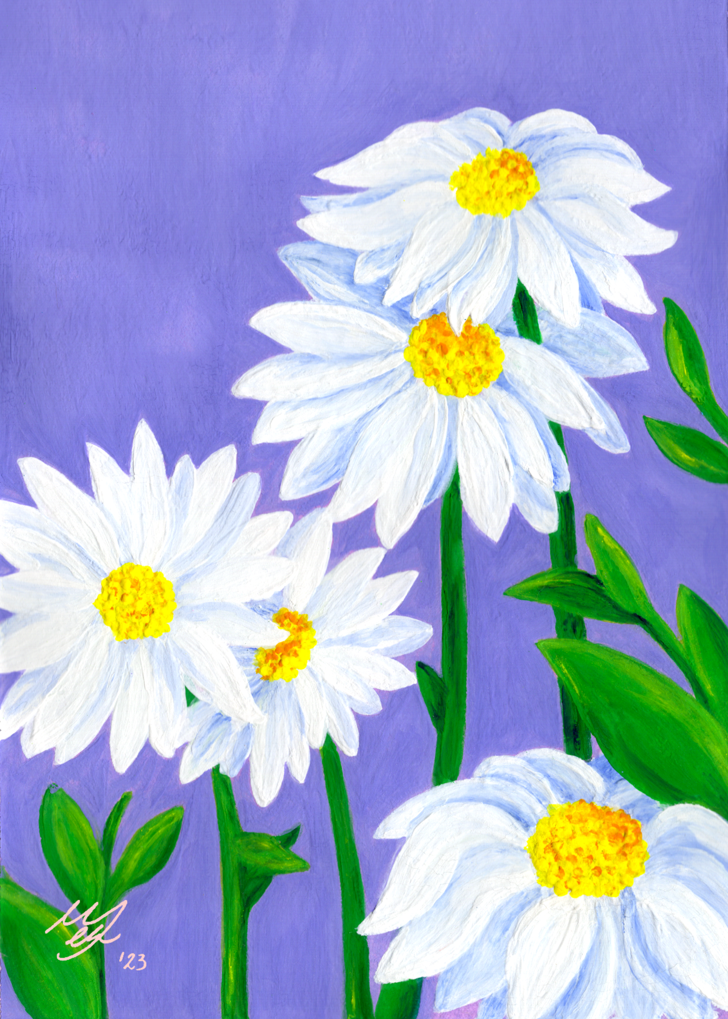 hey daisy - print