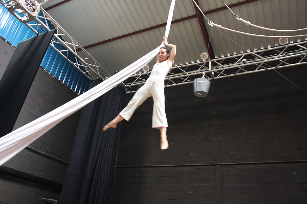 Acrobacias Aéreas_La Pájara