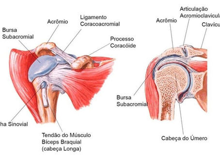 Elevação Lateral