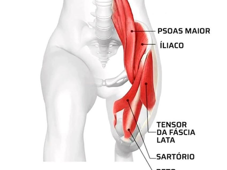 Os Flexores de Quadril: O “Músculo da Alma”