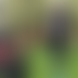 (美脚作りにはランジが有効な理由とは?)