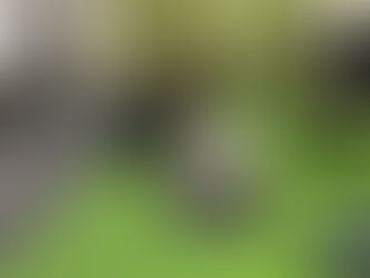 (西中島南方パーソナルジムがお伝えする二の腕とデコルテを引き締めたいなら腕立て伏せがお勧めな理由3選!)