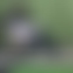 （マシンピラティスでお腹を引き締める方法とは？）