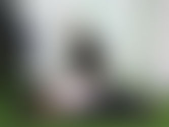 ’(プランクのお腹引き締め効果とは?)