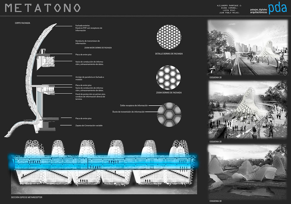 PLANCHA 05