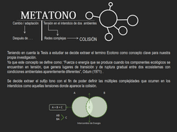 Teoría metatono