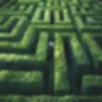Consulting services overview- Helping to see the big picture.