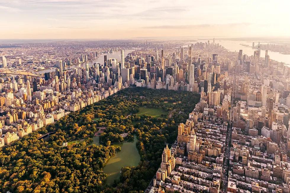 Therapy for individuals, couples, and families near New York City