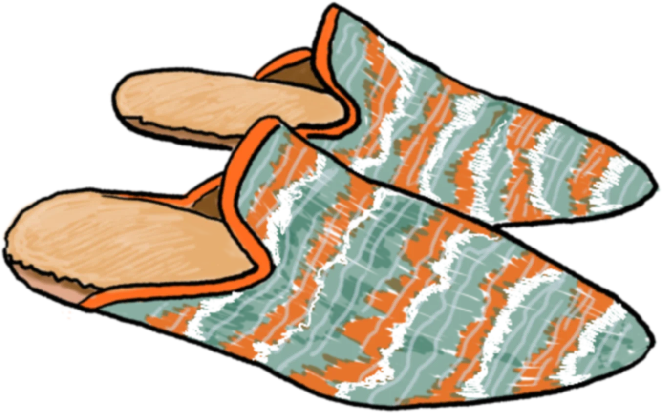 Illustration of striped slippers