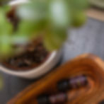 Plants and essential oils at Higher Ground Psychotherapy and Ketamine Studio in Connecticut