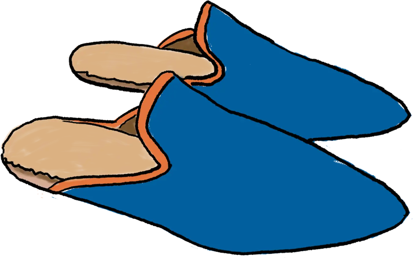 Illustration of blue slippers