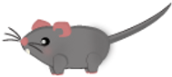 running_mouse_body.png