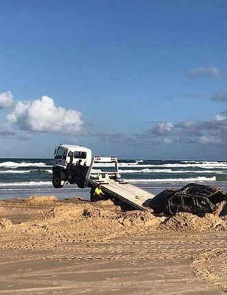 bogged.jpg