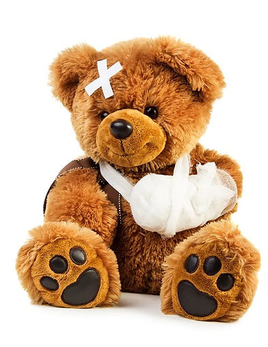 teddy
