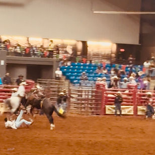 BUCKING HORSE