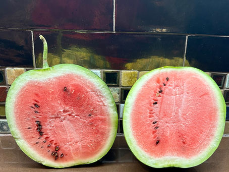 DESCRIBE NOT PRESCRIBE