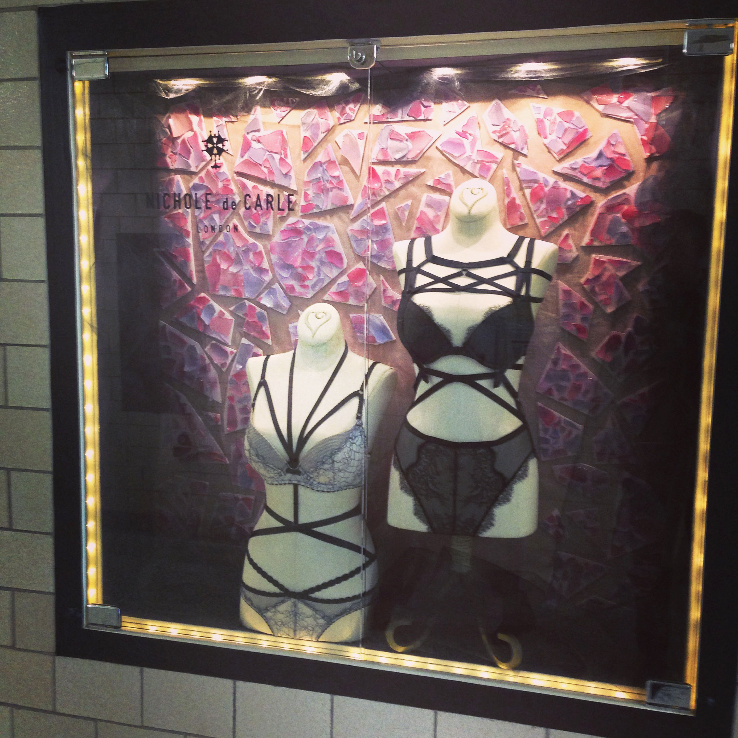 Nichole de Carle Shadow Box