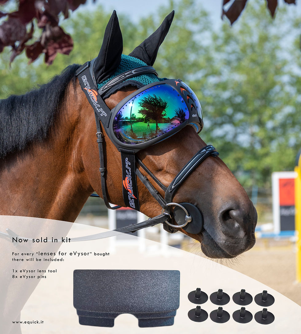 Lenses for eVysor *kit*