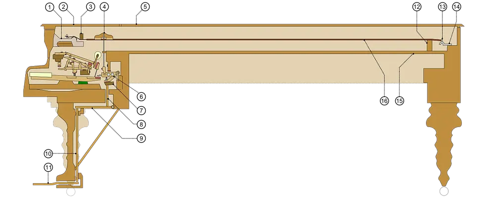 grand piano mechanism diagram