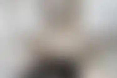 4b691594a31cbbce5a9ea128e8ff1cdd-uncropped_scaled_within_1536_1152