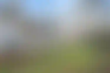 872e662a4085b879b4a34ce1496b7760-uncropped_scaled_within_1536_1152
