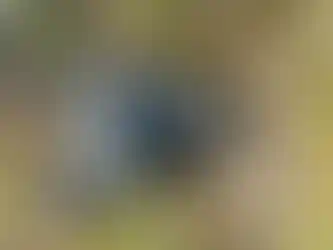 db008942682d4e2f9b3f7153bc6b7e21-uncropped_scaled_within_1536_1152