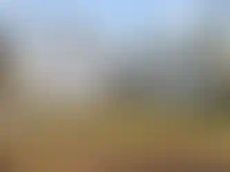 4f1f711cc1d8b51df42f7f7c4eed78fc-cc_ft_1536