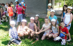 Кінологічна станція