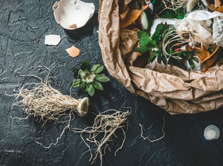 The Significance of Regionalizing Waste Stream Management