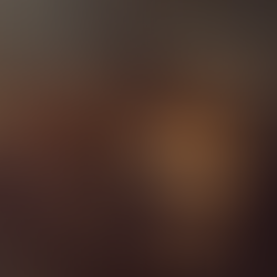 In the Shadow of the Algorithm