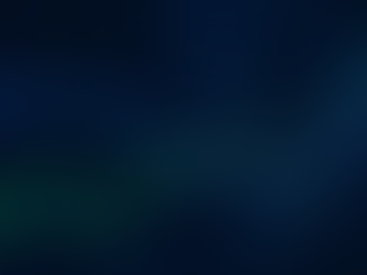 Investing in Resilience