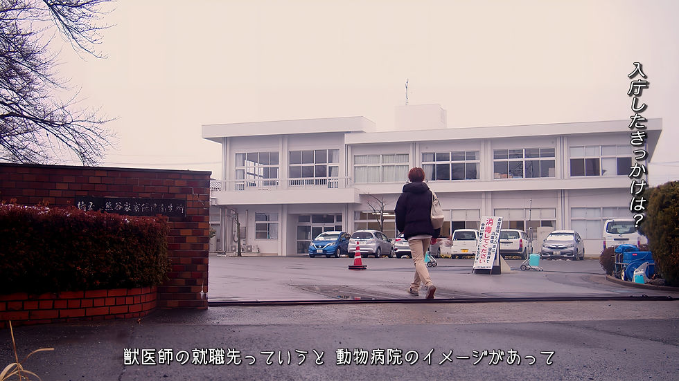 埼玉県庁　埼玉県職員募集広報動画「獣医師職 に密着してみた。」