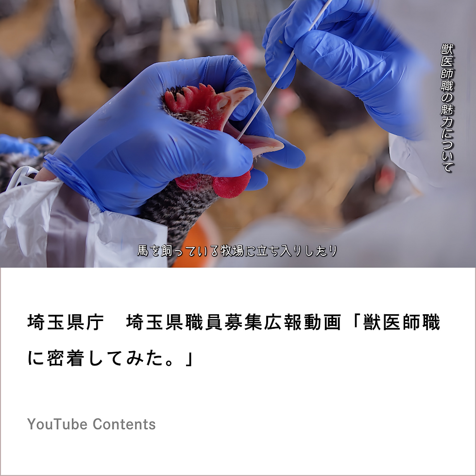 埼玉県庁　埼玉県職員募集広報動画「獣医師職 に密着してみた。」