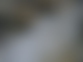 ALASKA - 5 (2007) - Kenai Fjords National Park 