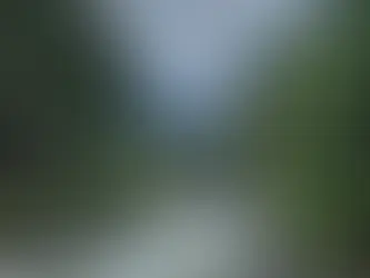 MANALI & More - 1956