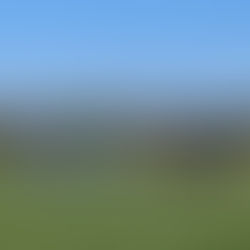 Die E1 siegt als D2 weiter