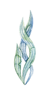 2 (6).png