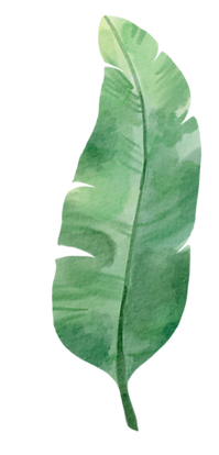 ilustración tropical