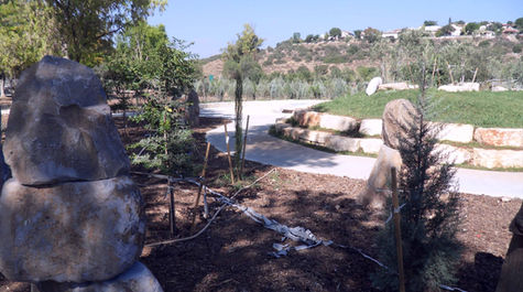 גבעת ישיעהו מרכז הוכרה ליהדות צרפת מרחבים אדריכלות נוף תכנון סביבתי 00 29.JPG