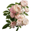 Thumbnail: White Roses