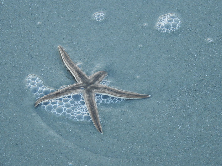 DSCN6166.JPG