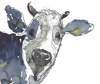 moo 3_edited.jpg