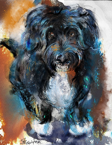 Bella finished to printer copy.jpeg