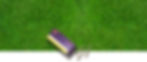 CANNABIS_COLLECTIONS_Spring.jpg