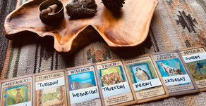 Animal Power Practice: A Week of Reclaim