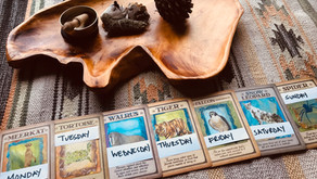 Animal Power Practice: A Week of Reclaim