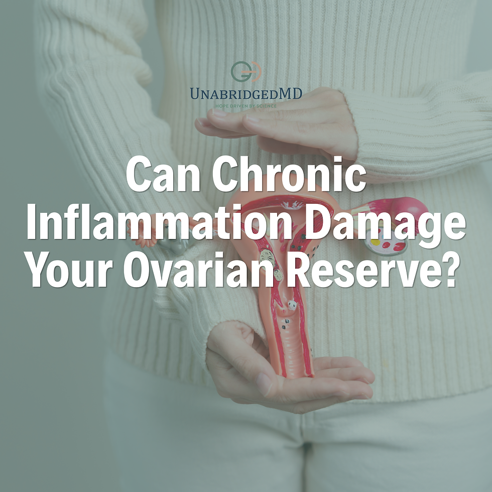 Can Chronic Inflammation Damage Your Ovarian Reserve? The Fertility Connection
